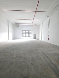 Ct Foodnex (D25), Factory #498212831